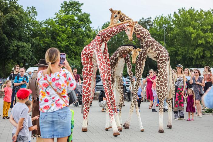 Kauniečius džiugina festivalio „ConTempo“ žirafos